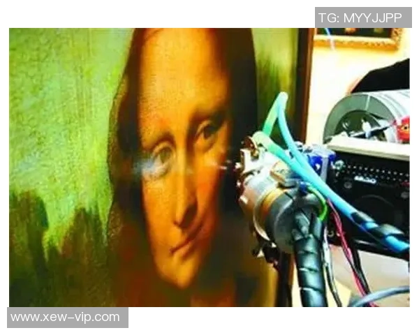 梅加与迪波特斯的巅峰对决谁能笑到最后揭开战斗的真相